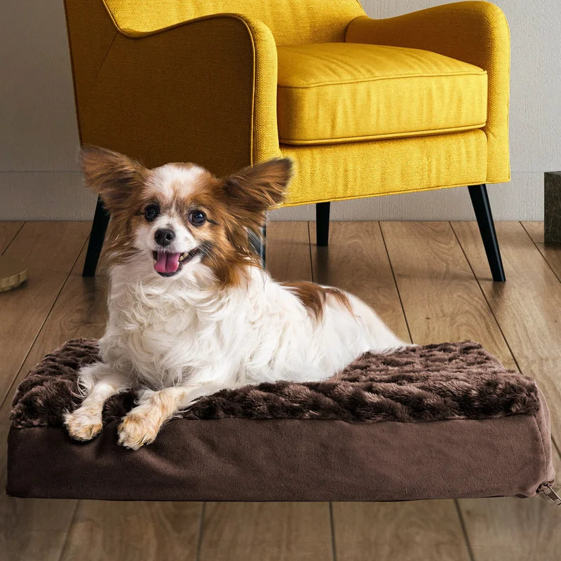 Orthopedic Polyester Pet Bed