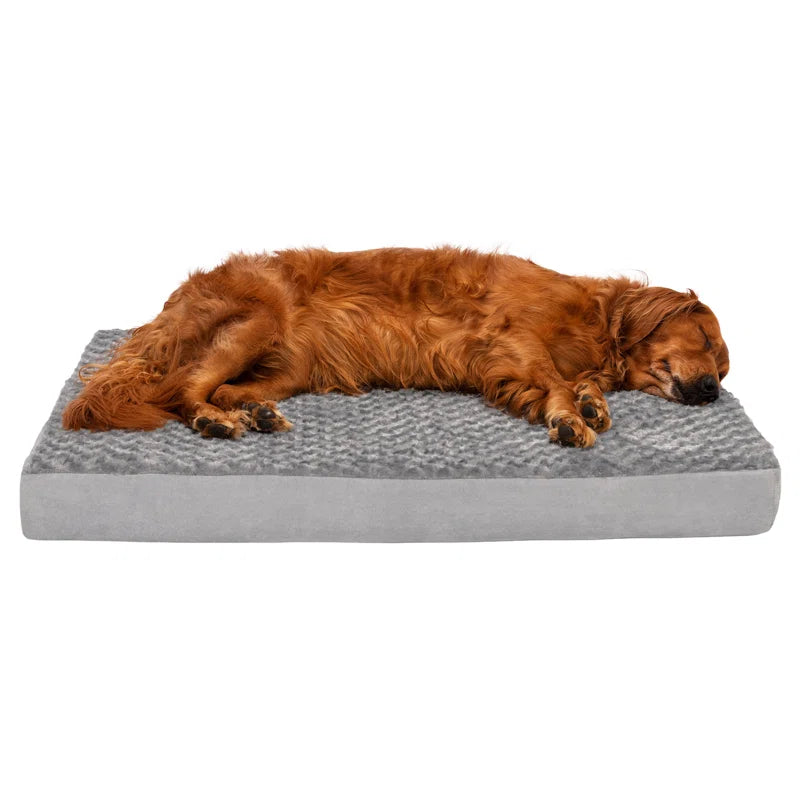 Orthopedic Polyester Pet Bed