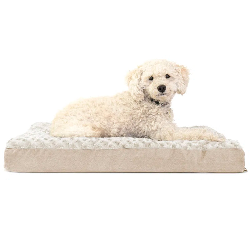 Orthopedic Polyester Pet Bed