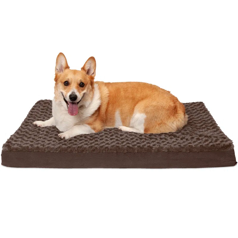 Orthopedic Polyester Pet Bed