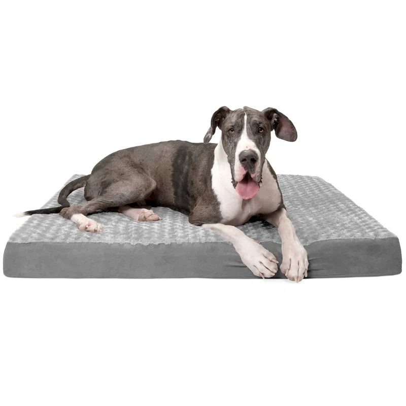 Orthopedic Polyester Pet Bed