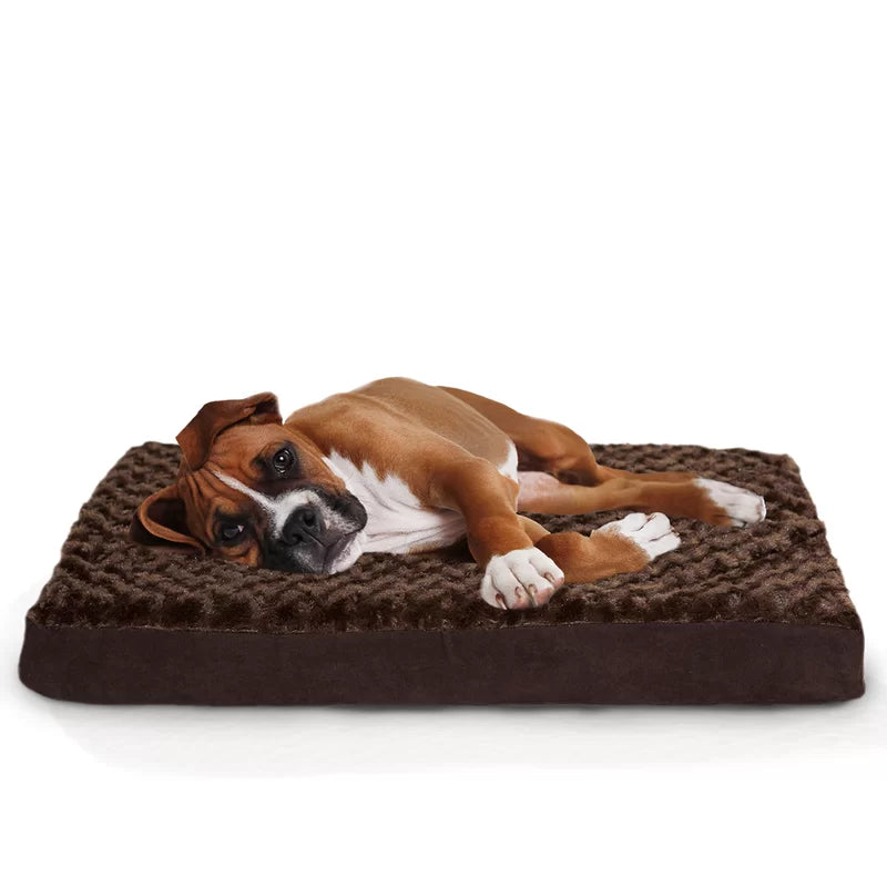 Orthopedic Polyester Pet Bed