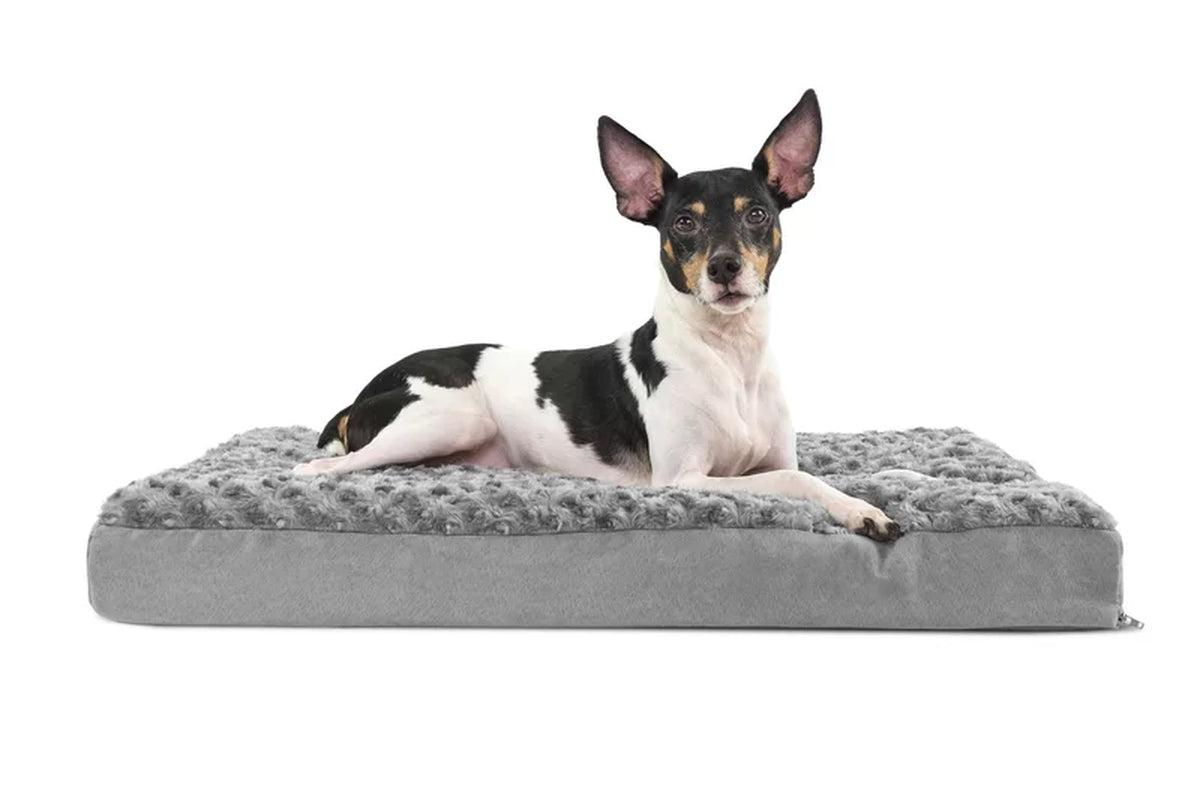 Orthopedic Polyester Pet Bed