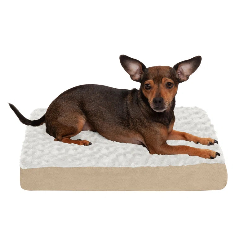 Orthopedic Polyester Pet Bed