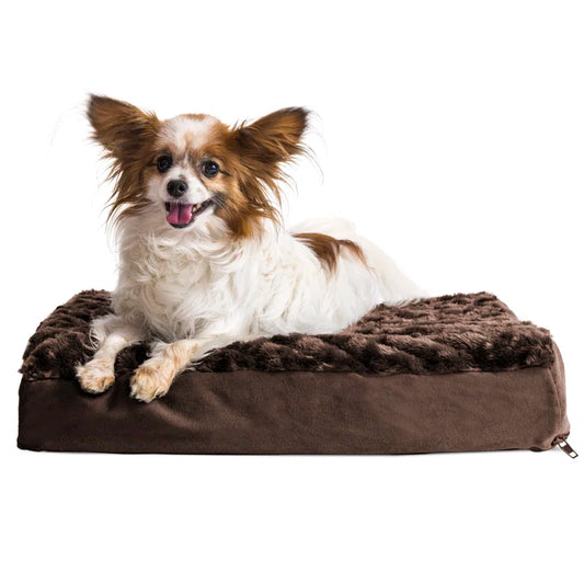 Orthopedic Polyester Pet Bed